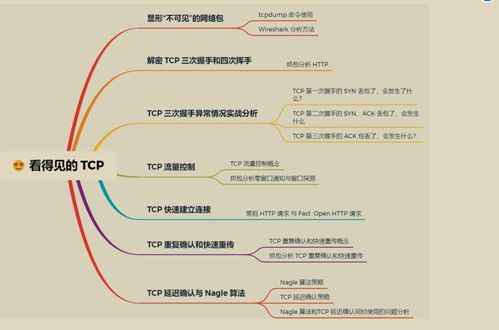 華為工程師詳解 計(jì)算機(jī)網(wǎng)絡(luò)工程施工與設(shè)計(jì)的核心原理